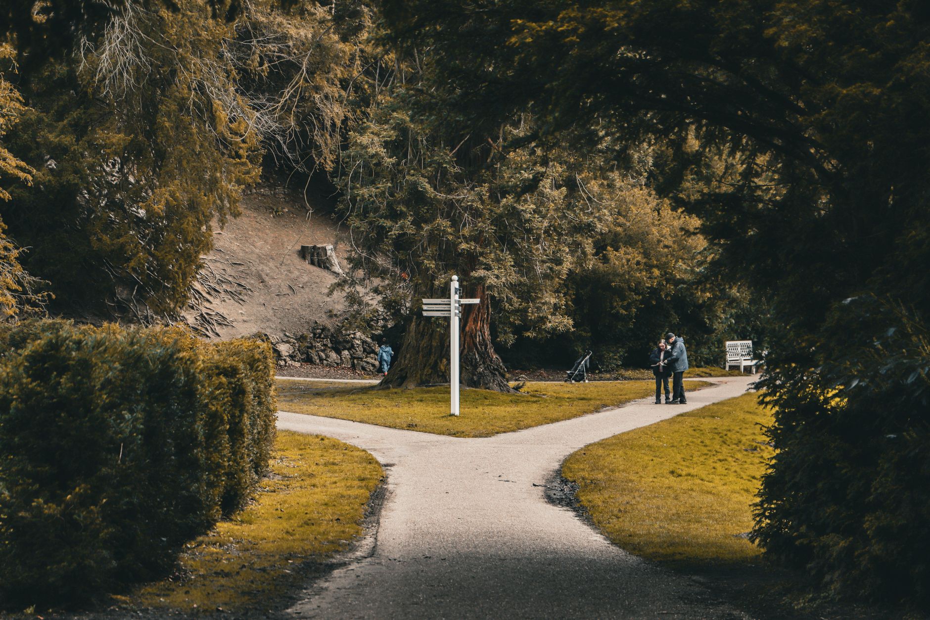 sidewalk in park